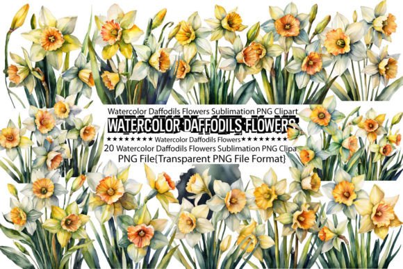 Download Watercolor Daffodils Flowers Sublimation - Sublimation Collection