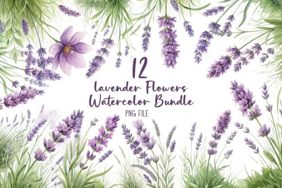Download Lavender Flowers Watercolor Bundle - Bundle Collection