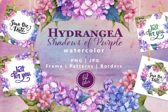 Download Hydrangea Watercolor Flower Set - Watercolor flower set Collection