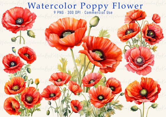 Download Red Poppy Watercolor Clipart PNG Bundle - Bundle Collection