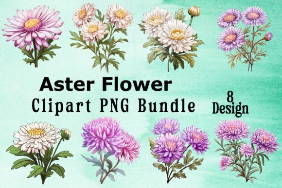 Download Aster Flower Clipart Bundle - Bundle Collection