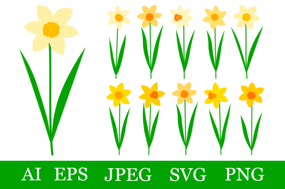 Download Daffodils Bundle SVG. Spring Flowers - Bundle Collection