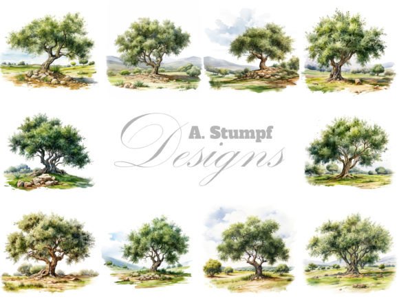 Download Olive Tree Watercolor Clipart Bundle - Bundle Collection