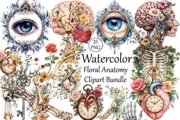 Download Watercolor Floral Anatomy Clipart Bundle - Bundle Collection