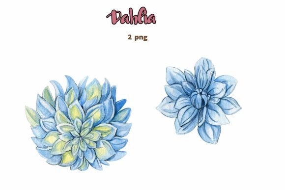 Download Dahlia, Watercolor Flower Set. - Watercolor flower set Collection
