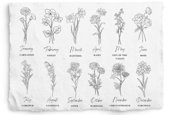Download Birth Month Flower SVG and PNG Bundle - Bundle Collection