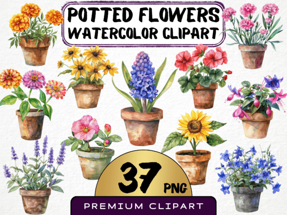 Download Potted Flowers Clipart Bundle 37 PNG - Bundle Collection