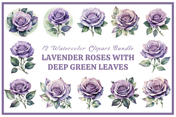 Download Lavender Roses with Green Leaves Bundle - Bundle Collection
