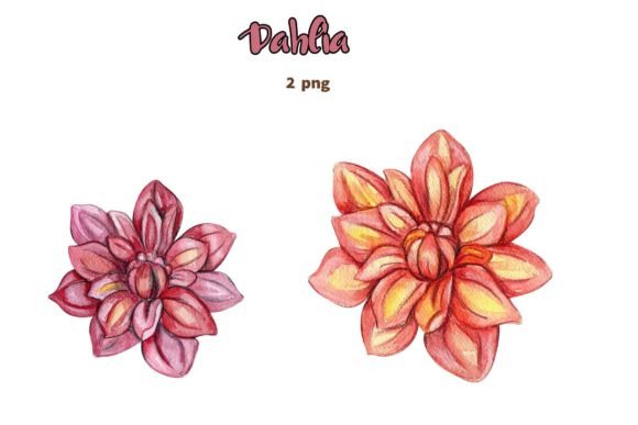 Download Dahlia, Watercolor Flower Set. - Watercolor flower set Collection