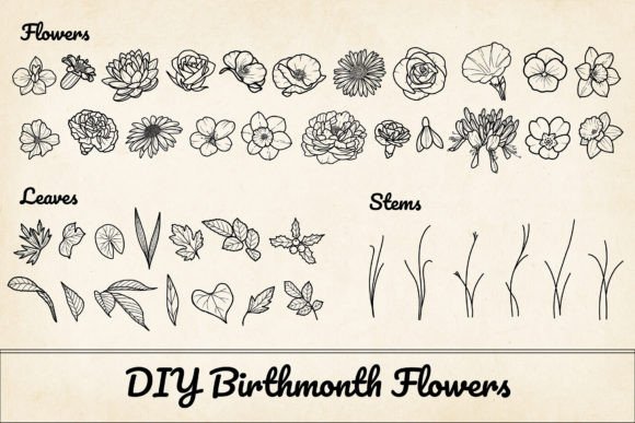Download 200 Birthflower Element Bundle PNG &amp; SVG - Bundle Collection