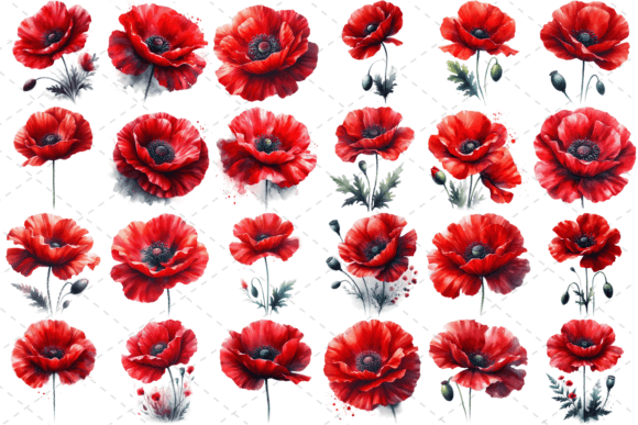 Download Poppify Watercolor Red Poppy Bundle - Bundle Collection
