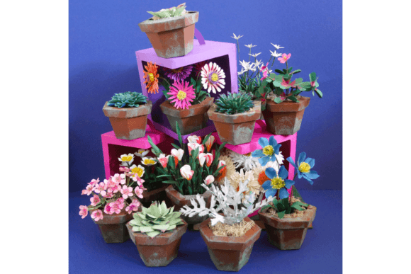 Download Opora Flower Bundle - Bundle Collection