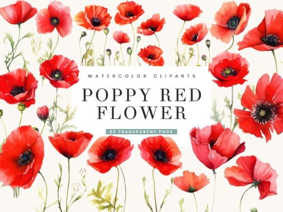 Download Poppy Red Flowers Clipart Bundle - Bundle Collection