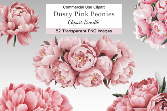 Download Dusty Pink Peony Clipart Bundle - Bundle Collection