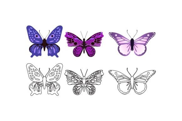 Download Butterfly Nature Illustrations - Nature illustrations Collection