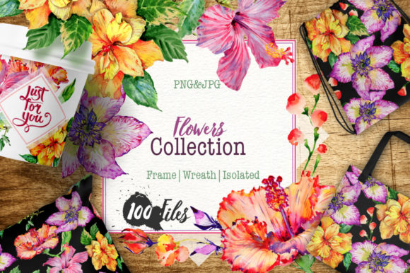 Download Hibiscus Watercolor Flower Set - Watercolor flower set Collection