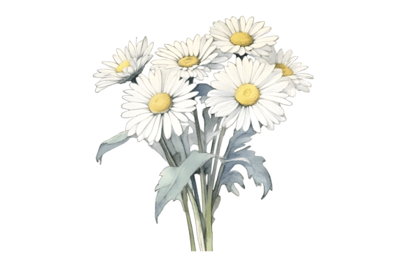 Download Watercolor Daisy Bouquet Sublimation - Sublimation Collection