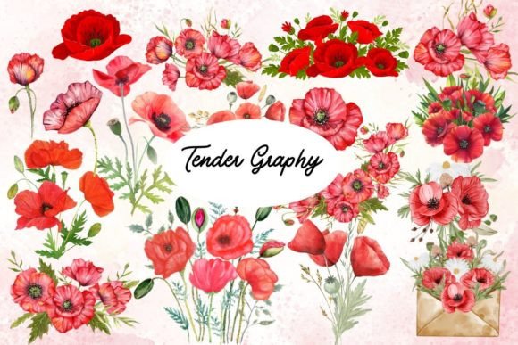 Download Red Poppy Watercolor SVG Bundle 30 Files - Bundle Collection