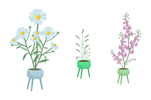 Download Tall Potted Flower Bundle - Bundle Collection